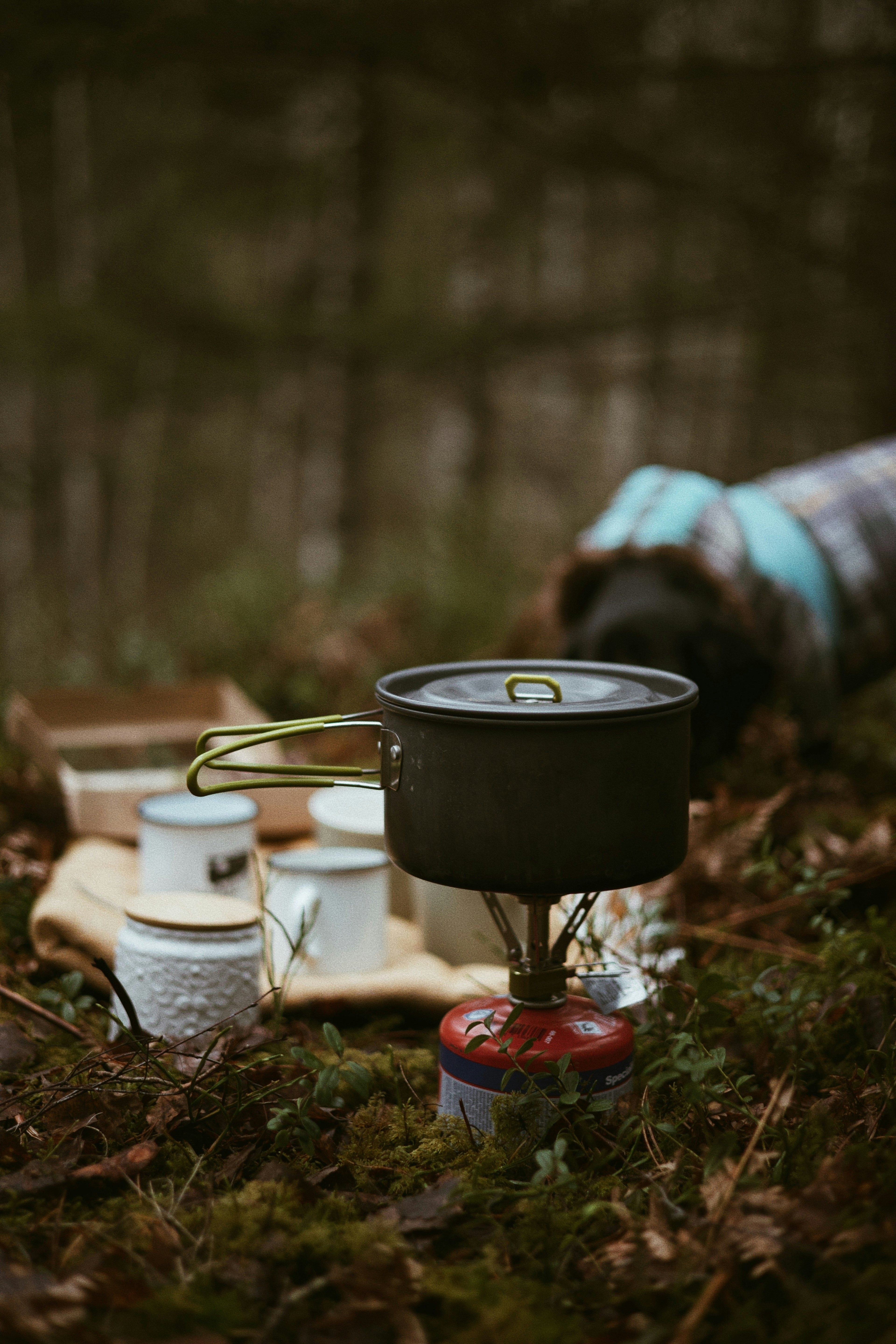 Sycamore Knoll Ultralight Camping Mess Kit — Nesting Pot and Pan Set