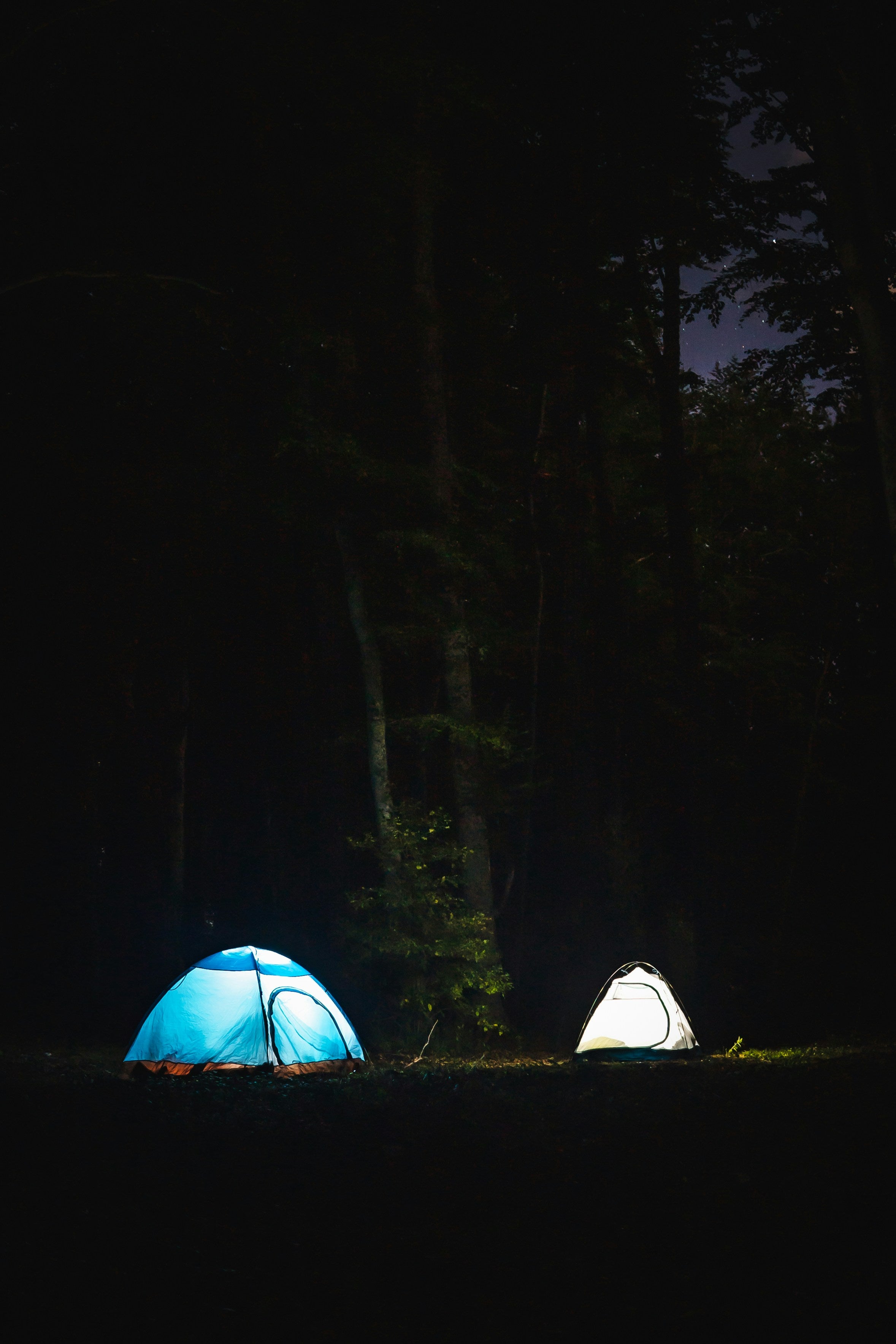 Sycamore Knoll Foldable Rechargeable Camp Lantern