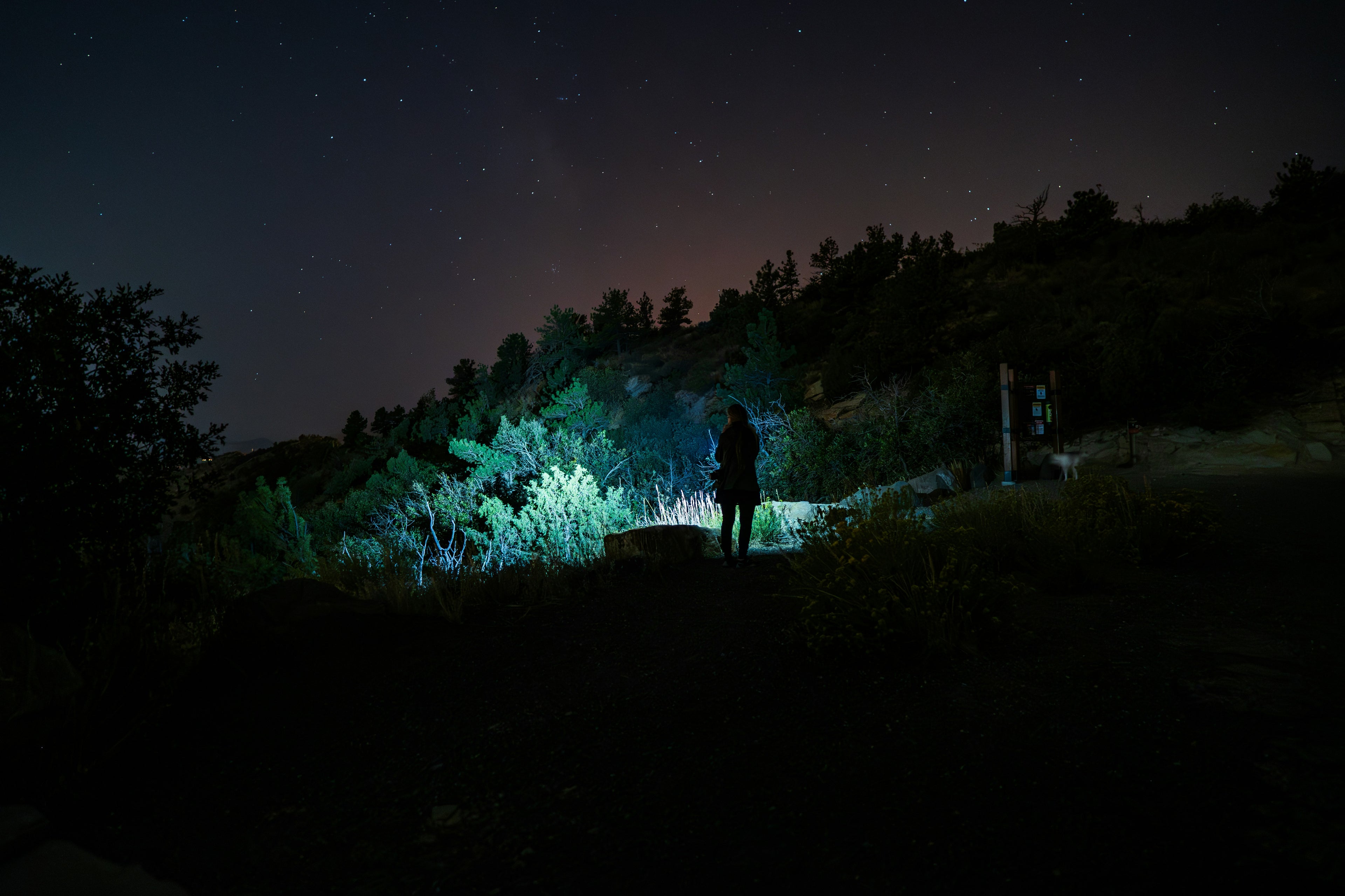 Sycamore Knoll Mini Tactical Flashlight — Rechargeable EDC Torch with COB Side Light