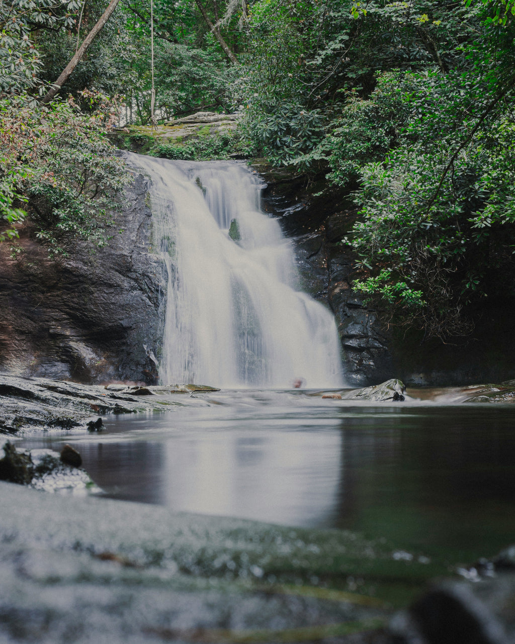Sycamore Knoll Trail Filter Straw — Personal Water Filtration System